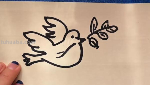手抄报和平鸽怎么画(手抄报和平鸽怎么画图片) 手抄报和平鸽怎么画(手抄报和平鸽怎么画图片)