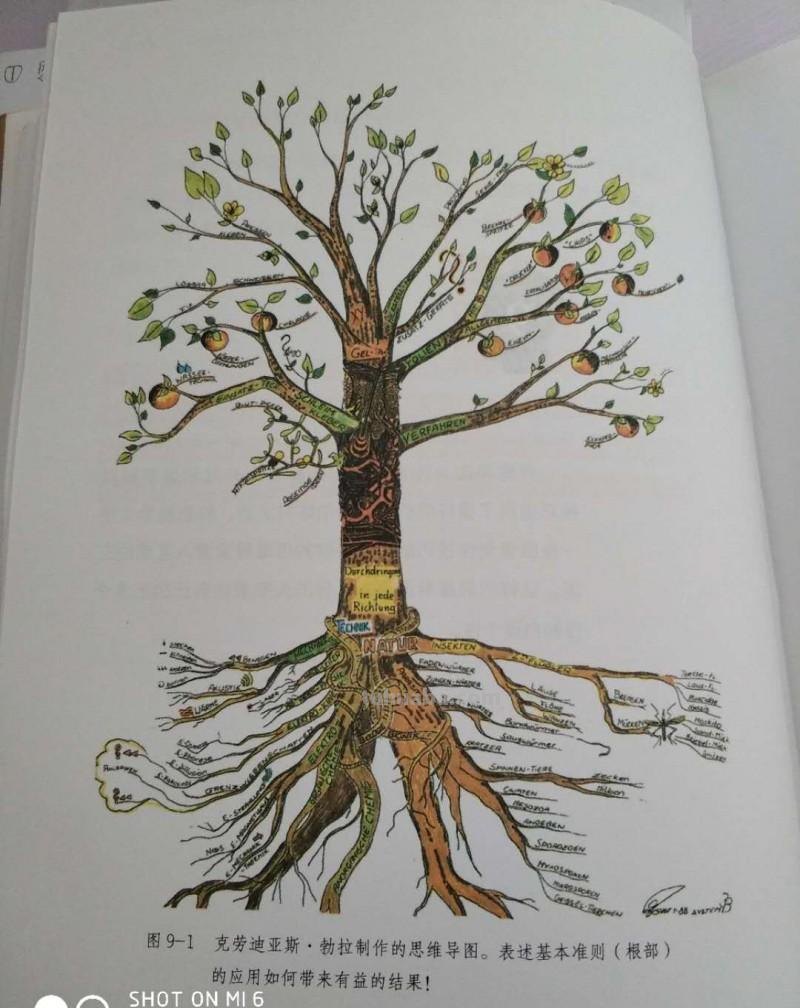 世界有3亿人在用思维导图,这6个技巧,你也可以get到 世界有3亿人在用思维导图,这6个技巧,你也可以get到