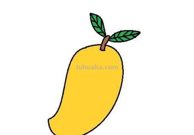 芒果怎么画简笔画（芒果怎么画简笔画图片）