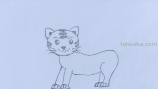小老虎怎么画简笔画(小老虎怎么画简笔画图片) 小老虎怎么画简笔画(小老虎怎么画简笔画图片)