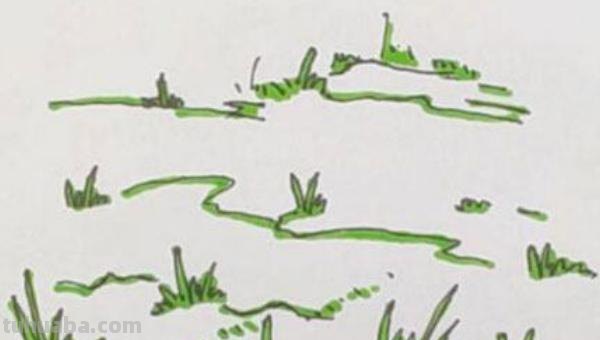 草的简笔画怎么画(草的简笔画怎么画 可爱) 草的简笔画怎么画(草的简笔画怎么画 可爱)