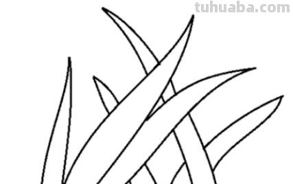 草的简笔画怎么画(草的简笔画怎么画 可爱) 草的简笔画怎么画(草的简笔画怎么画 可爱)