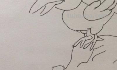 乌鸦怎么画简笔画(乌鸦怎么画简笔画可爱) 乌鸦怎么画简笔画(乌鸦怎么画简笔画可爱)