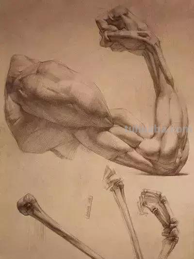 列宾美院教授珍藏的88幅素描，你们看完可以说都去过列宾进修了