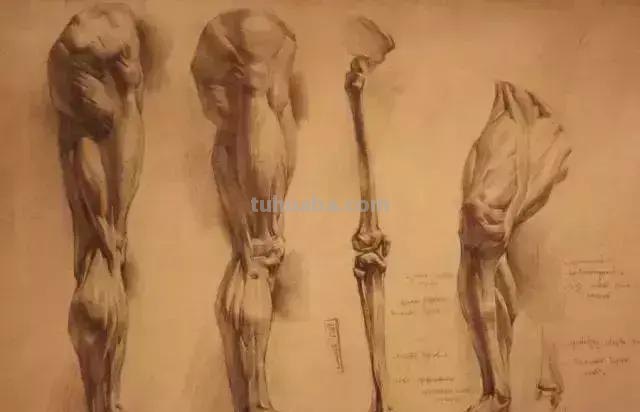 列宾美院教授珍藏的88幅素描，你们看完可以说都去过列宾进修了