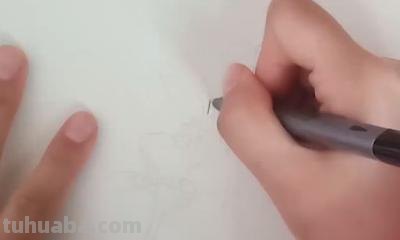 桂花怎么画简笔画（桂花怎么画简笔画又漂亮）