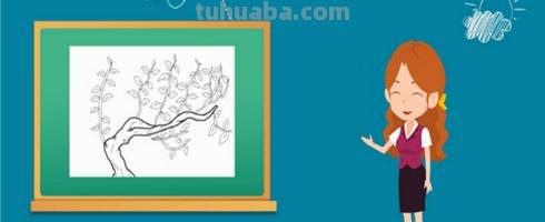 桂花怎么画简笔画(桂花怎么画简笔画又漂亮) 桂花怎么画简笔画(桂花怎么画简笔画又漂亮)