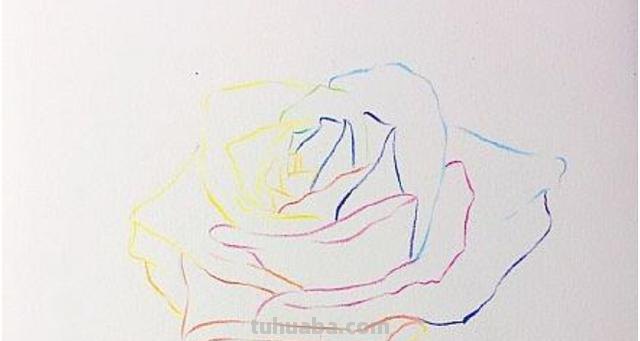 怎么画彩铅画花卉(怎么画彩铅画花卉图片) 怎么画彩铅画花卉(怎么画彩铅画花卉图片)