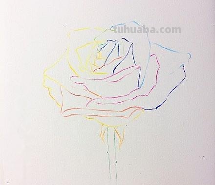 怎么画彩铅画花卉(怎么画彩铅画花卉图片) 怎么画彩铅画花卉(怎么画彩铅画花卉图片)