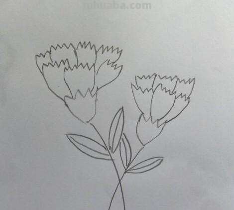 彩铅画怎么画康乃馨(彩铅画怎么画康乃馨图片) 彩铅画怎么画康乃馨(彩铅画怎么画康乃馨图片)