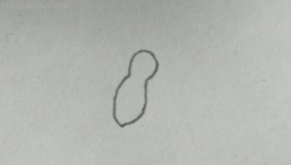 花生怎么画简笔画(花生怎么画简笔画图) 花生怎么画简笔画(花生怎么画简笔画图)
