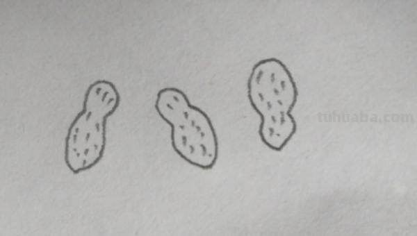 花生怎么画简笔画(花生怎么画简笔画图) 花生怎么画简笔画(花生怎么画简笔画图)