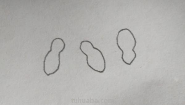 花生怎么画简笔画(花生怎么画简笔画图) 花生怎么画简笔画(花生怎么画简笔画图)