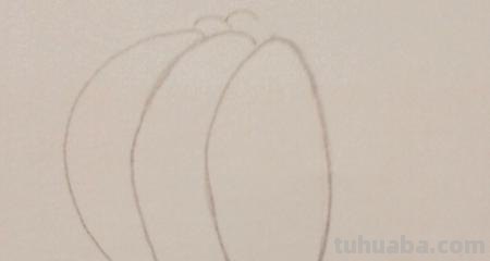 画手工彩铅怎么画(画手工彩铅怎么画好看) 画手工彩铅怎么画(画手工彩铅怎么画好看)