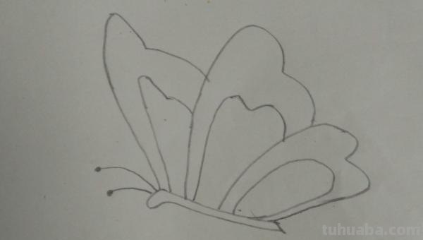 怎么画彩铅画蝴蝶(怎么画彩铅画蝴蝶图片) 怎么画彩铅画蝴蝶(怎么画彩铅画蝴蝶图片)