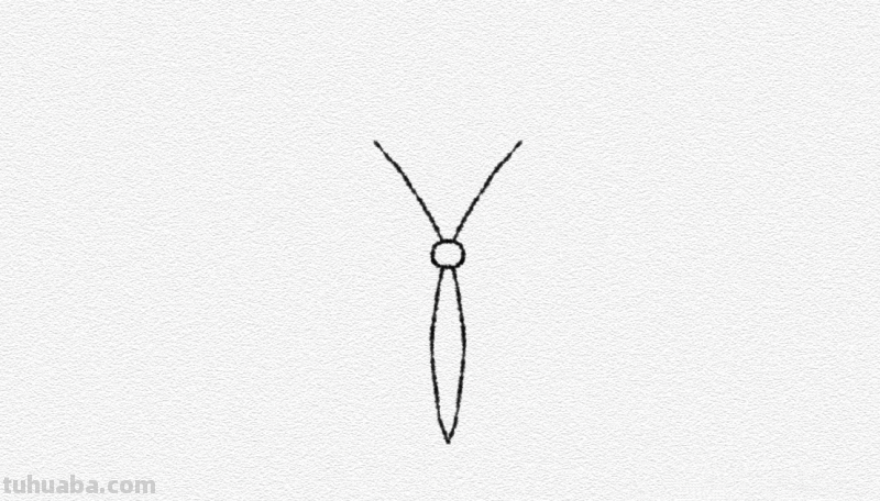 怎么画彩铅画蝴蝶(怎么画彩铅画蝴蝶图片) 怎么画彩铅画蝴蝶(怎么画彩铅画蝴蝶图片)