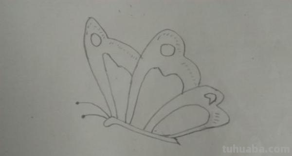 怎么画彩铅画蝴蝶(怎么画彩铅画蝴蝶图片) 怎么画彩铅画蝴蝶(怎么画彩铅画蝴蝶图片)