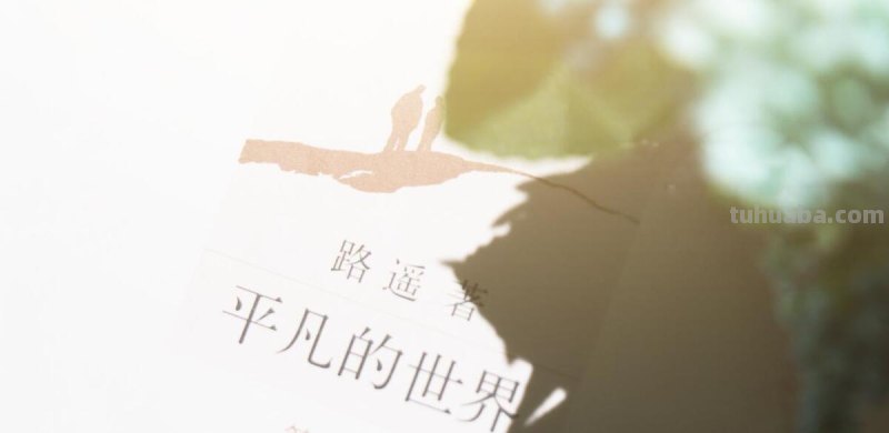 《平凡的世界》经典文化-读书笔记