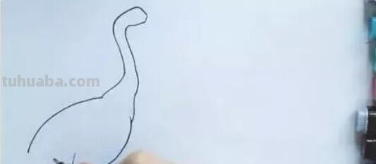 鹤怎么画简笔画（丹顶鹤怎么画简笔画）