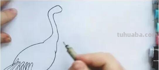 鹤怎么画简笔画(丹顶鹤怎么画简笔画) 鹤怎么画简笔画(丹顶鹤怎么画简笔画)