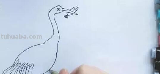 鹤怎么画简笔画(丹顶鹤怎么画简笔画) 鹤怎么画简笔画(丹顶鹤怎么画简笔画)