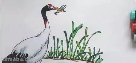 鹤怎么画简笔画(丹顶鹤怎么画简笔画) 鹤怎么画简笔画(丹顶鹤怎么画简笔画)