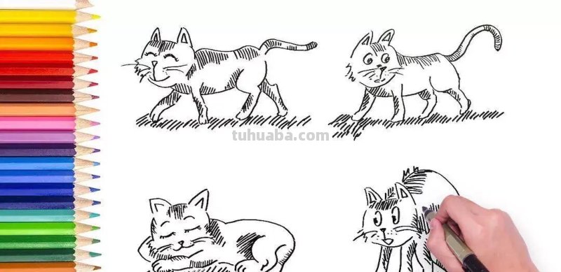 分享一组可爱实用的简笔画，画手帐和小插画都可以用的到，拿走