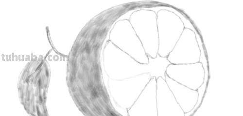 剥开的橘子速写(剥开的橘子速写图片) 剥开的橘子速写(剥开的橘子速写图片)