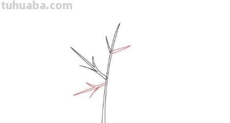枫叶怎么画简笔画(枫叶怎么画简笔画又漂亮) 枫叶怎么画简笔画(枫叶怎么画简笔画又漂亮)