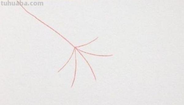 枫叶怎么画简笔画(枫叶怎么画简笔画又漂亮) 枫叶怎么画简笔画(枫叶怎么画简笔画又漂亮)