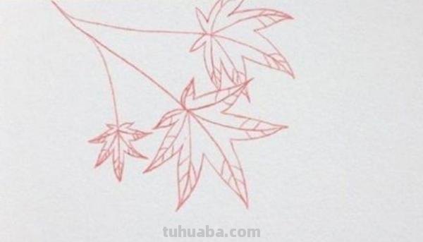 枫叶怎么画简笔画(枫叶怎么画简笔画又漂亮) 枫叶怎么画简笔画(枫叶怎么画简笔画又漂亮)