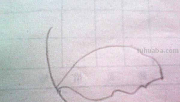 枫叶怎么画简笔画(枫叶怎么画简笔画又漂亮) 枫叶怎么画简笔画(枫叶怎么画简笔画又漂亮)