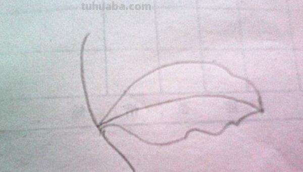 枫叶怎么画简笔画(枫叶怎么画简笔画又漂亮) 枫叶怎么画简笔画(枫叶怎么画简笔画又漂亮)