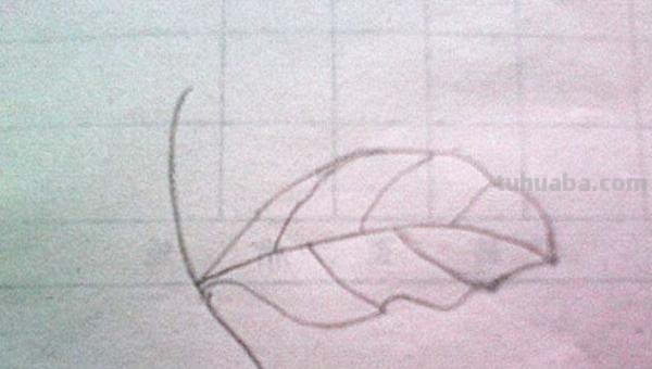 枫叶怎么画简笔画(枫叶怎么画简笔画又漂亮) 枫叶怎么画简笔画(枫叶怎么画简笔画又漂亮)