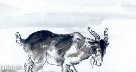绵羊怎么画彩铅画（绵羊怎么画彩铅画图片）