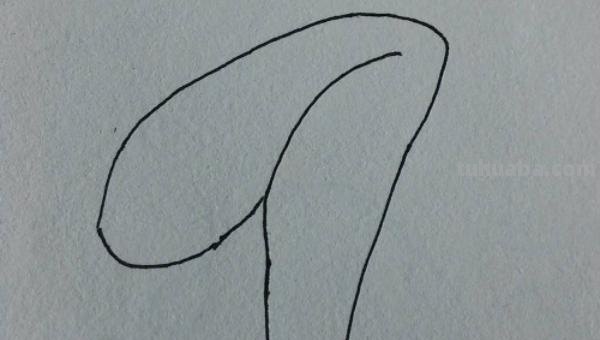 鸡腿怎么画简笔画(鸡腿怎么画简笔画图片) 鸡腿怎么画简笔画(鸡腿怎么画简笔画图片)