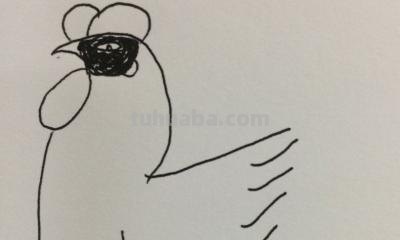 鸡腿怎么画简笔画(鸡腿怎么画简笔画图片) 鸡腿怎么画简笔画(鸡腿怎么画简笔画图片)