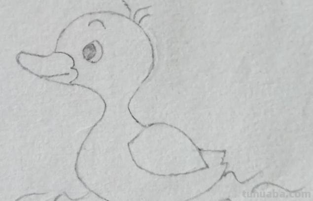 简笔画小鸭子怎么画（简笔画小鸭子怎么画视频）