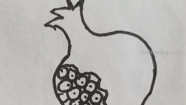 石榴怎么画简笔画（石榴怎么画简笔画 彩色）