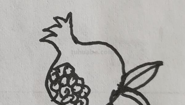 石榴怎么画简笔画（石榴怎么画简笔画 彩色）