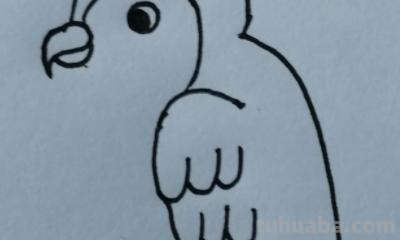鹦鹉怎么画 彩铅(鹦鹉怎么画彩铅 简单又漂亮) 鹦鹉怎么画 彩铅(鹦鹉怎么画彩铅 简单又漂亮)