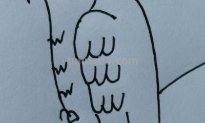 鹦鹉怎么画 彩铅(鹦鹉怎么画彩铅 简单又漂亮) 鹦鹉怎么画 彩铅(鹦鹉怎么画彩铅 简单又漂亮)