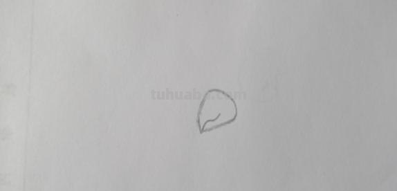 鹦鹉怎么画 彩铅(鹦鹉怎么画彩铅 简单又漂亮) 鹦鹉怎么画 彩铅(鹦鹉怎么画彩铅 简单又漂亮)