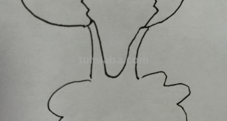 彩铅鸡蛋怎么画(彩铅鸡蛋怎么画简单) 彩铅鸡蛋怎么画(彩铅鸡蛋怎么画简单)