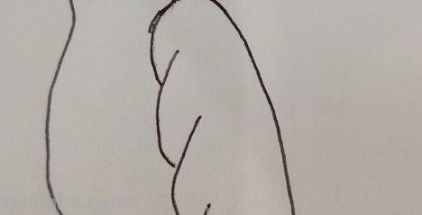 喜鹊怎么画简笔画（喜鹊怎么画简笔画 牛郎织女）