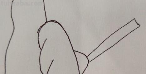 喜鹊怎么画简笔画（喜鹊怎么画简笔画 牛郎织女）
