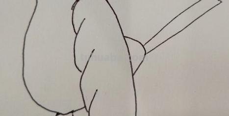 喜鹊怎么画简笔画（喜鹊怎么画简笔画 牛郎织女）