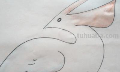喜鹊怎么画简笔画（喜鹊怎么画简笔画 牛郎织女）