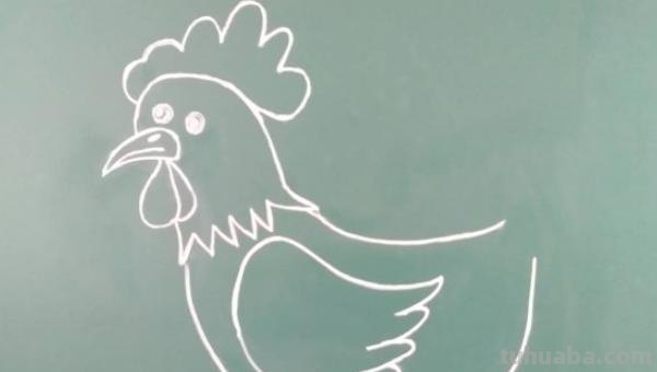 鸡怎么画 彩铅(鸡怎么画彩铅) 鸡怎么画 彩铅(鸡怎么画彩铅)