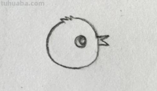 鸡怎么画 彩铅(鸡怎么画彩铅) 鸡怎么画 彩铅(鸡怎么画彩铅)